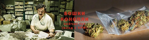 прущие грибы Каменск-Шахтинский