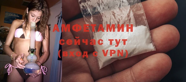 прущие грибы Каменск-Шахтинский