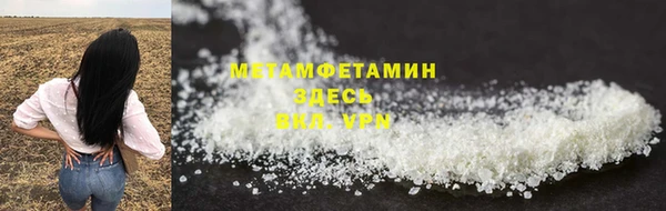 гидра Каменка