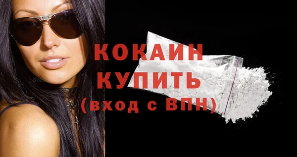 прущие грибы Каменск-Шахтинский