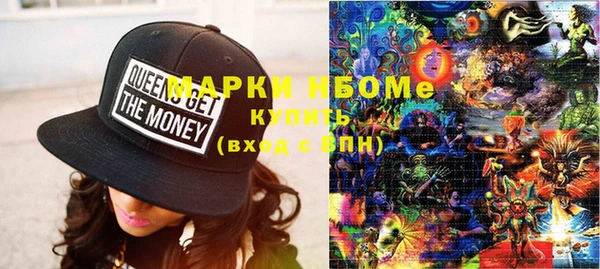 прущие грибы Каменск-Шахтинский