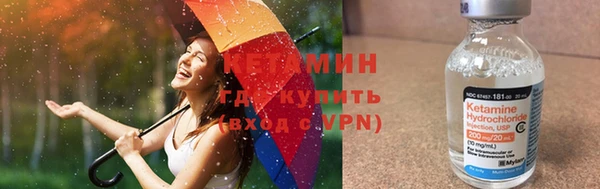 прущие грибы Каменск-Шахтинский