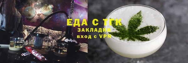 гидра Каменка