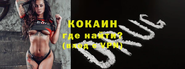 гидра Каменка