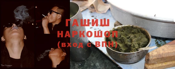 гидра Каменка