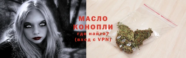 гидра Каменка