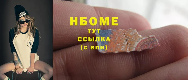 гидра Каменка