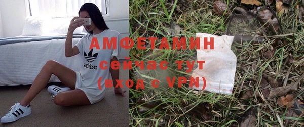 прущие грибы Каменск-Шахтинский