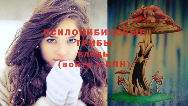 прущие грибы Каменск-Шахтинский