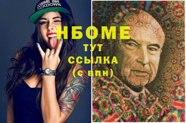 прущие грибы Каменск-Шахтинский