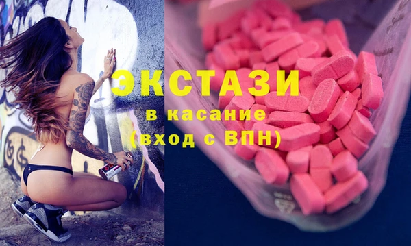 гидра Каменка