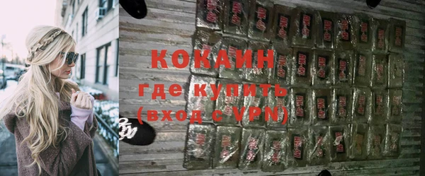 гидра Каменка