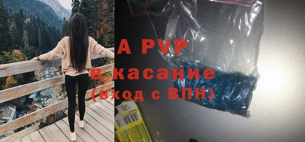 гидра Каменка