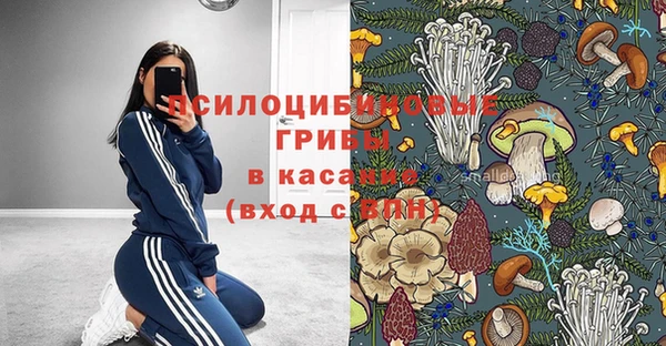 мескалин Каменногорск