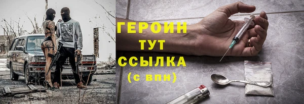 гидра Каменка