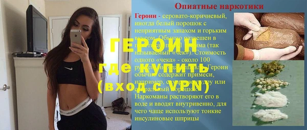 гидра Каменка