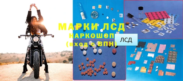 гидра Каменка