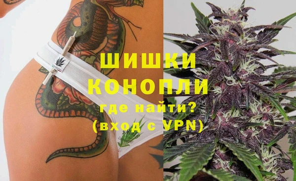 гидра Каменка
