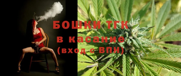 прущие грибы Каменск-Шахтинский