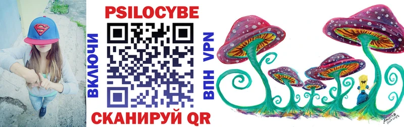 Купить где  Знаменск  Псилоцибиновые грибы Cubensis 